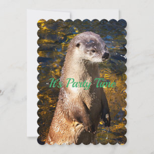 Otter Invitation