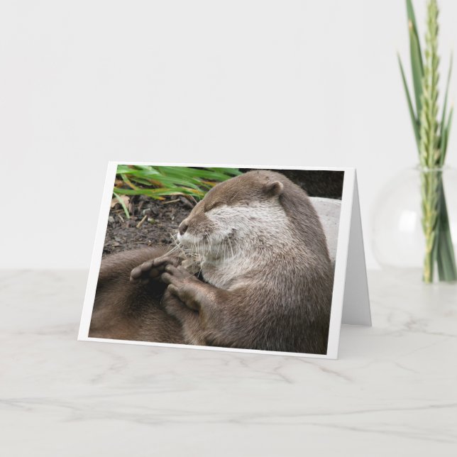 Otter-ly Amazing Holidays Holiday Card (Front)