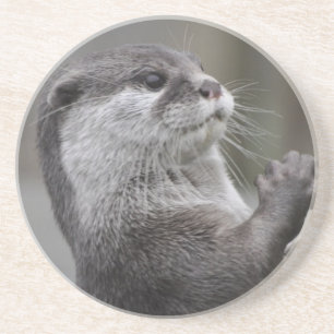 Otter Mastermind Coaster