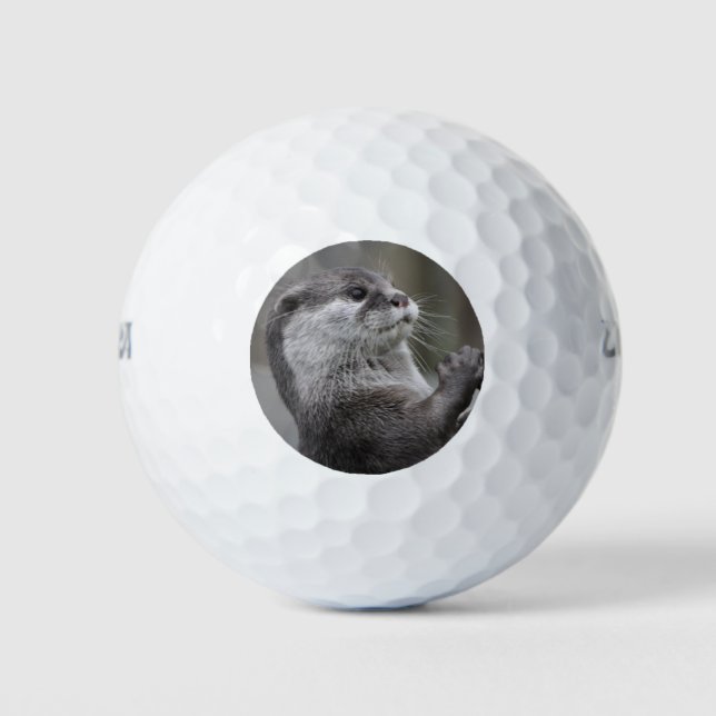 Otter Mastermind Golf Balls (Front)