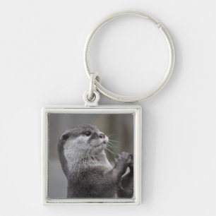 Otter Mastermind keychain