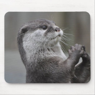 Otter Mastermind Mouse Pad