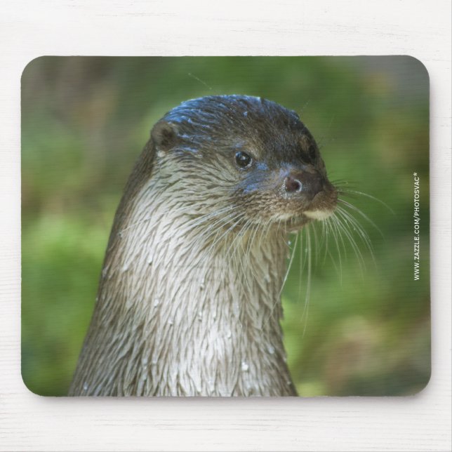 Otter Mouse Mat (Front)