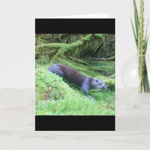 Otter Nature Scene  River Wildlife Illustration Card