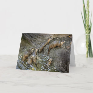 Otter Pack Greeting Card