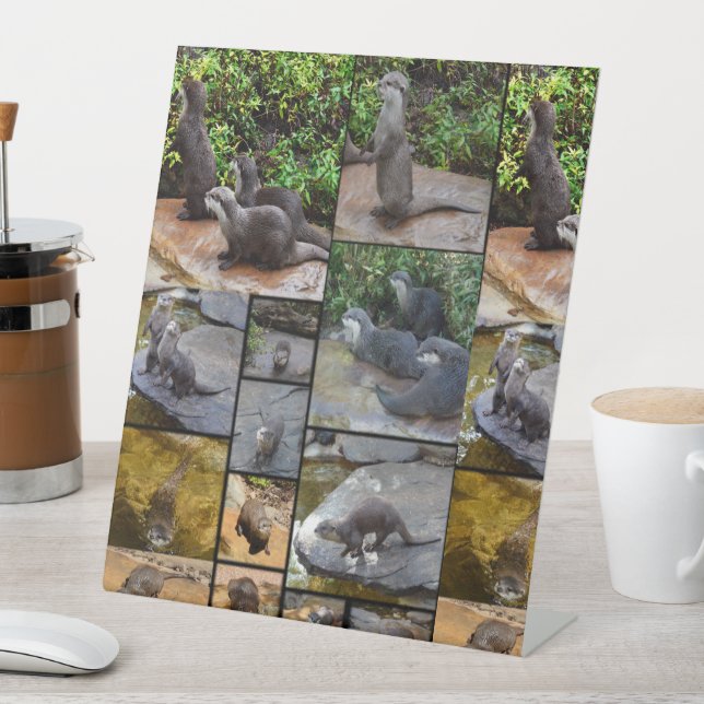 Otter Photo Collage,  Pedestal Sign (In SItu)