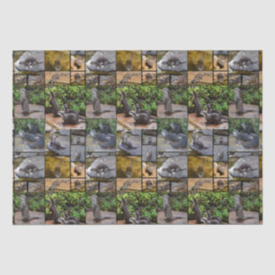 Otter Photo Collage Round Stickers. Tissue Paper