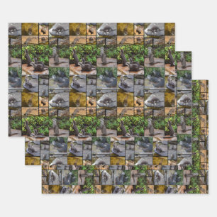 Otter Photo Collage Round Stickers. Wrapping Paper Sheet