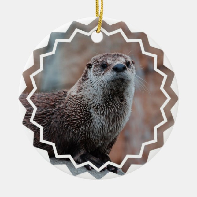 Otter Photo Ornament (Front)