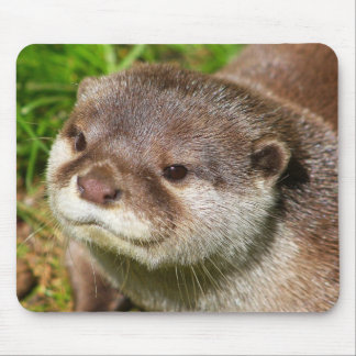 Otter Portrait....... Mouse Mat