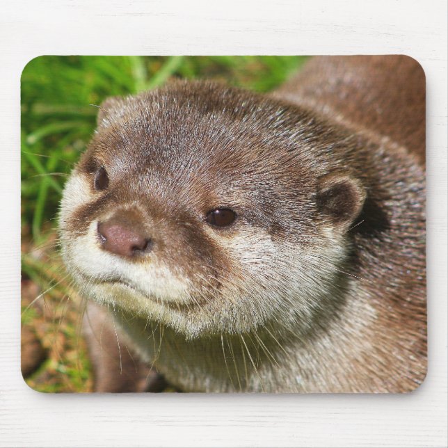 Otter Portrait....... Mouse Mat (Front)