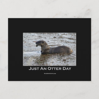 Otter Postcards