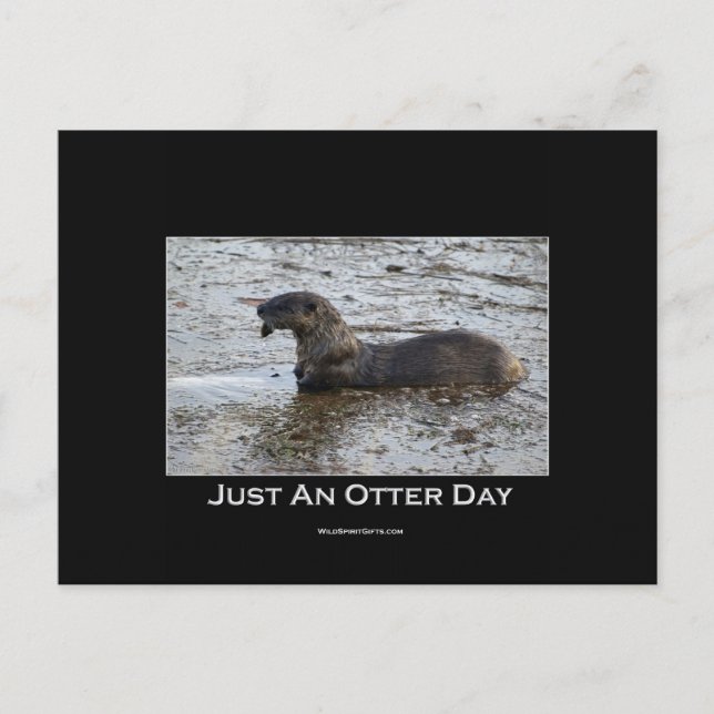 Otter Postcards (Front)