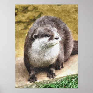 OTTER POSTER