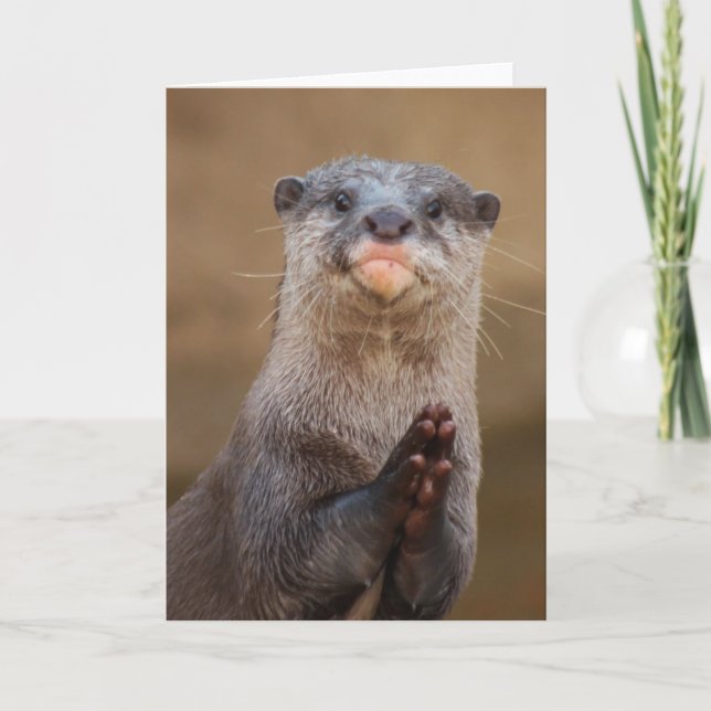 Otter Praying Card (Front)