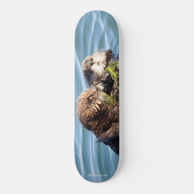 Otter pup and mother with kelp skateboard (Front)