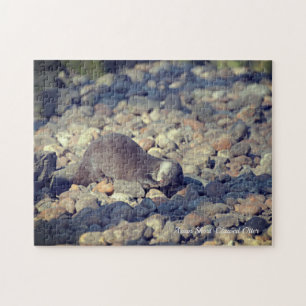 Otter Short-Clawed at Drusillas Zoo in East Sussex Jigsaw Puzzle