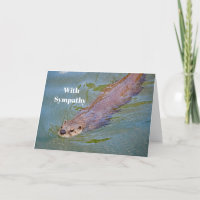 Otter Swimming Wildlife Photo Sympathy