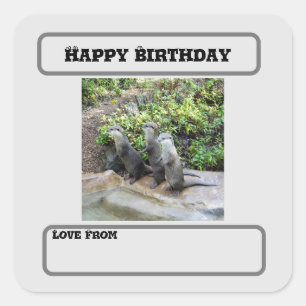 Otter Triplets, Birthday Square Sticker