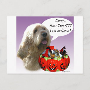 Otterhound Halloween Candy Postcard