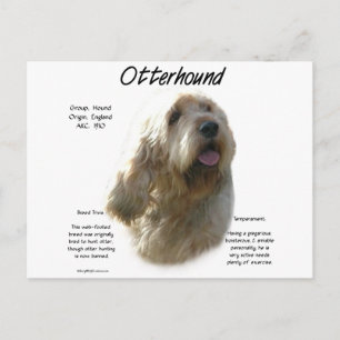 Otterhound History Design Postcard