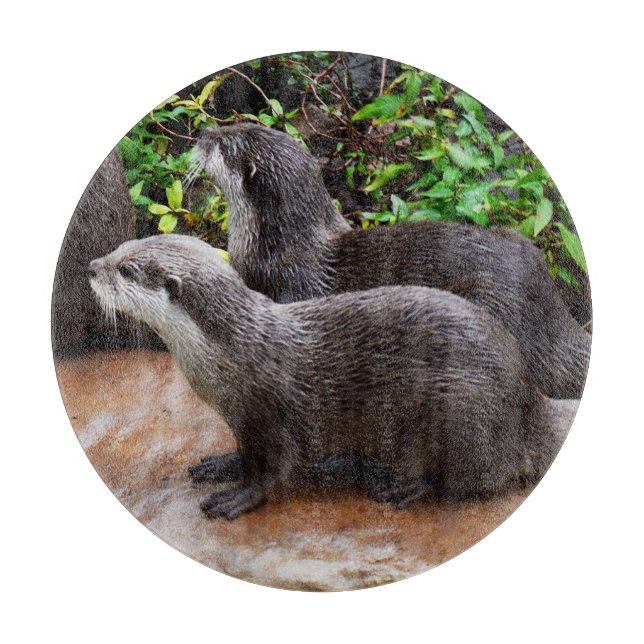 Otterly Adorable Otters, Cutting Board (Front)