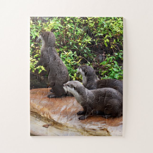 Otterly Adorable Otters, Jigsaw Puzzle (Vertical)