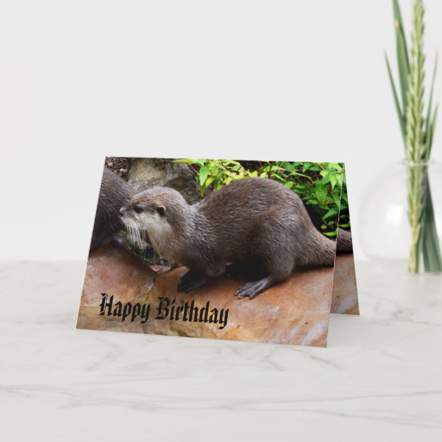 Otterly Adorable Small Gray Otter, Happy Birthday Card (Front)