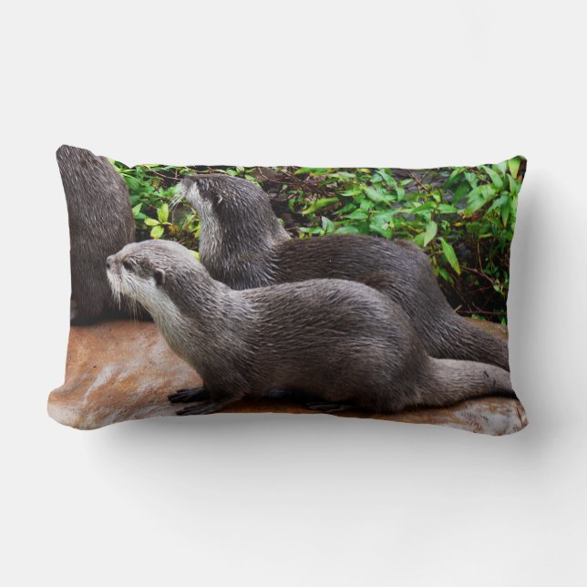 Otterly Cute, Otters, Lumbar Lounge Cushion. Lumbar Cushion (Front)