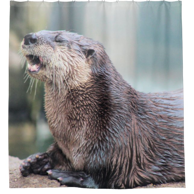 Otterly hilarious shower curtain (Front)