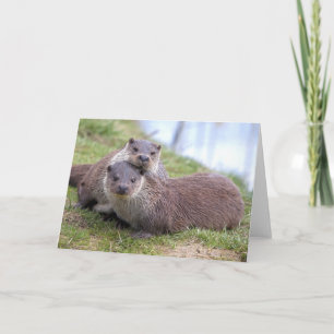 Otterly in Love Card