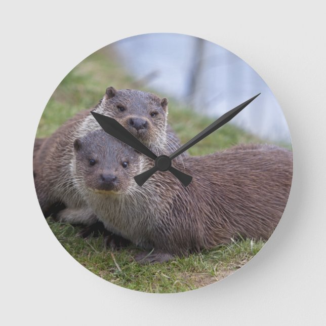 Otterly in Love Clock (Front)