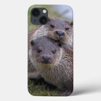 Otterly in Love iPad Case