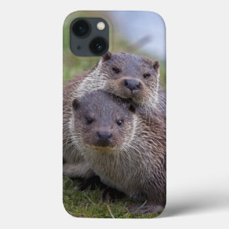 Otterly in Love iPad Case