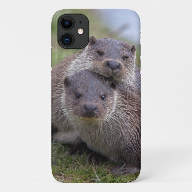 Otterly in Love iPhone 11 Case (Back)