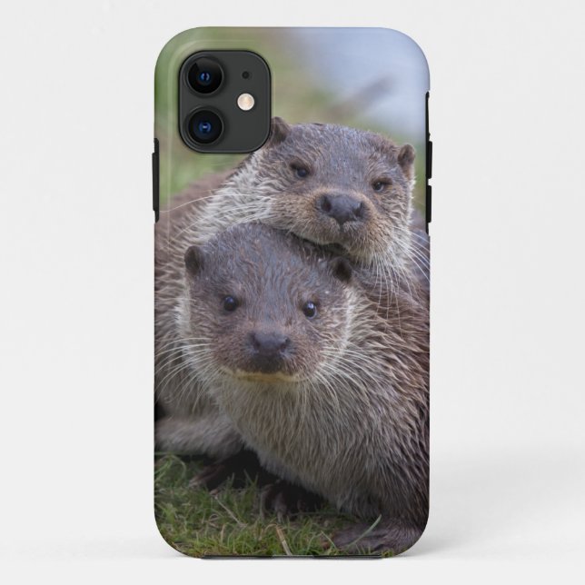 Otterly in Love iPhone 5 Case-Mate Case (Back)