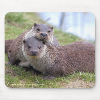 Otterly in Love Mousemat