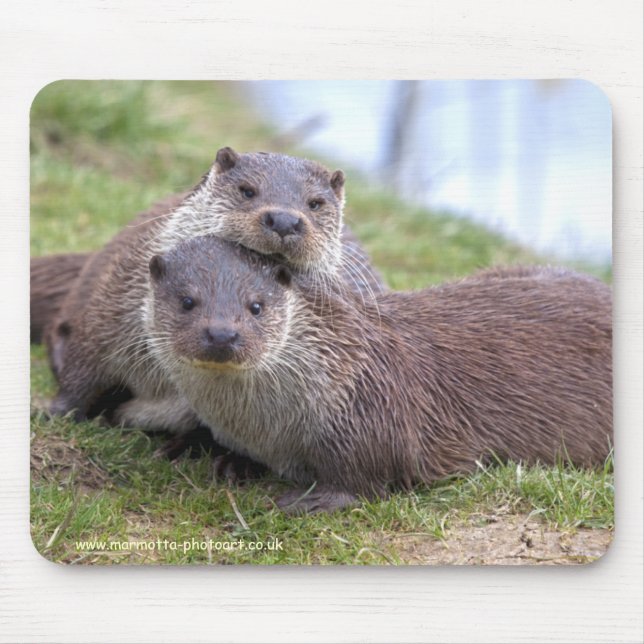 Otterly in Love Mousemat (Front)