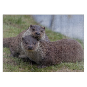 Otterly in Love Rectangular Cutting Board