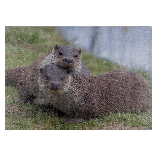 Otterly in Love Rectangular Cutting Board (Front)