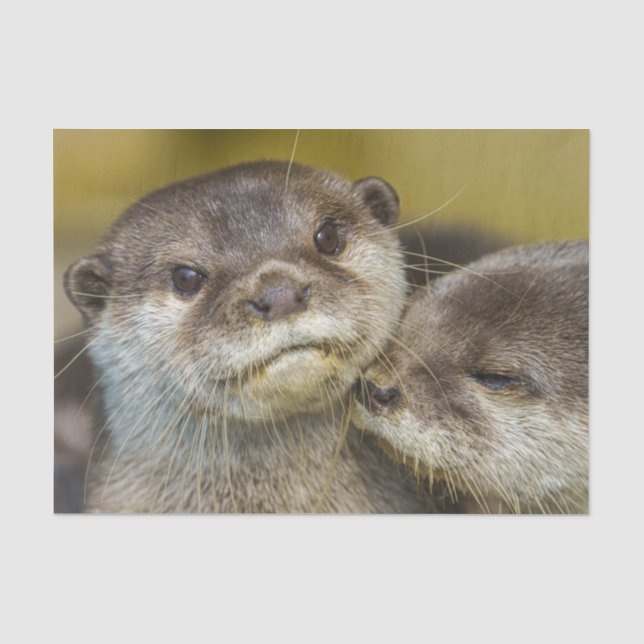 Otterly In Love Tissue Paper (Front)
