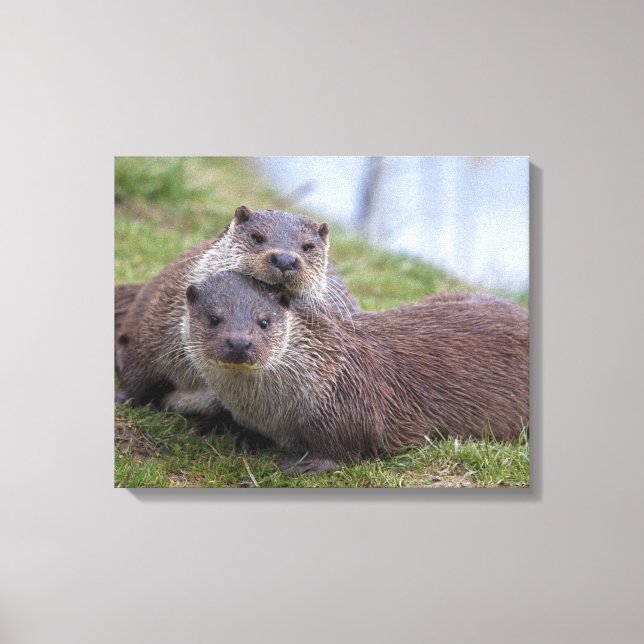 Otterly in Love Wrapped Canvas Print (Front)