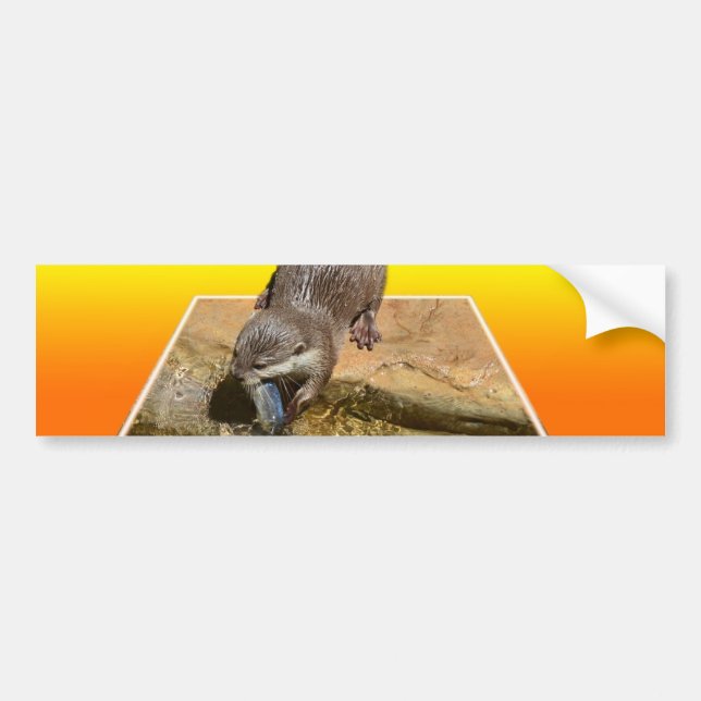 Otterly Orange, Bumper Sticker (Front)