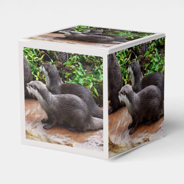 Otterly To Cute, Otters,  Favour Box (Front Side)