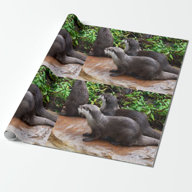 Otterly To Cute, Otters,  Wrapping Paper (Unrolled)