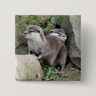 OTTERS 15 CM SQUARE BADGE
