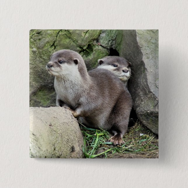 OTTERS 15 CM SQUARE BADGE (Front)