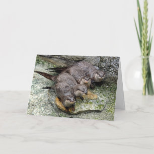 Otters 4 in a row Greeting Card