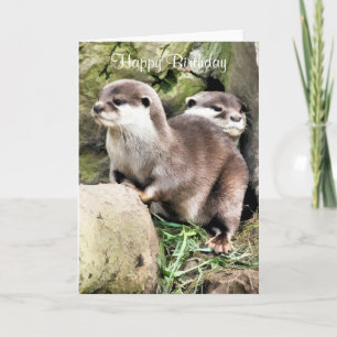 OTTERS CARD