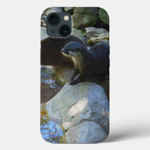 Otters Drinking, iPhone 13 Case